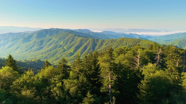 Beautiful nature of Tennessee mountains, USA. Great Smoky Mountains in summer season.