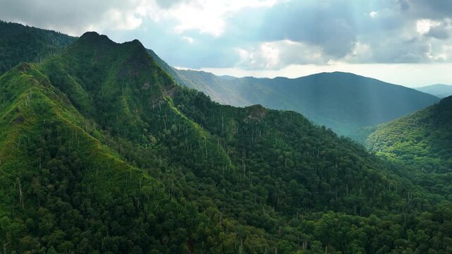 Chimney Tops peaks in Great Smoky Mountains National Park on the Border of Tennessee and North Carolina. Woods nature in summer season. Colorful green forest.
