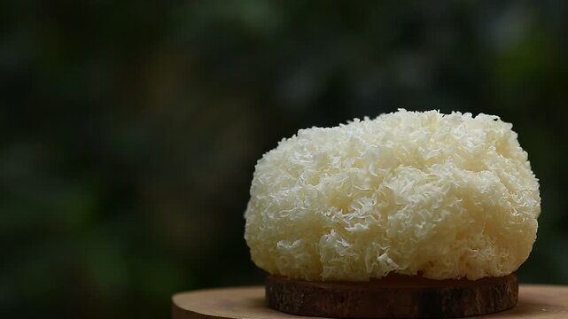Tremella fuciformis mushrooms on natural background.