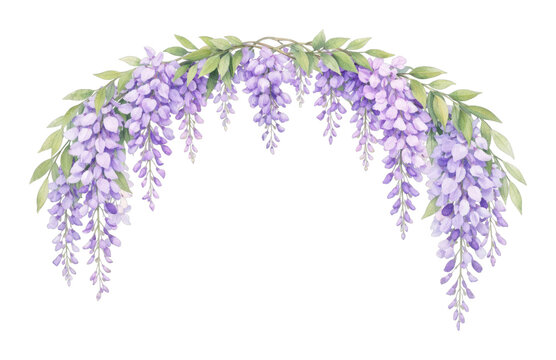 PNG Elegant wisteria floral arch.