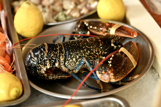 Fresh whole lobster on plate with lemon in seafood restaurant
