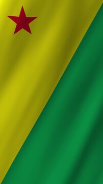 Vertical Acre Flag 4K Brazil State Pride Animation Flag Arce Symbol