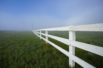 Fototapeta premium White Fence Leading Through Foggy Field with Dramatic Perspective