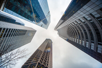 Looking up at towering glass skyscrapers in downtown Seattle, Washington State. Dynamic architectural travel and holiday photography showcasing the Pacific Northwest city's bold urban skyline. © Fabio