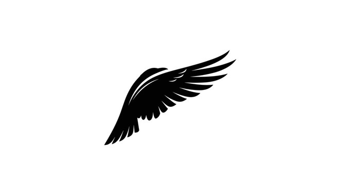 Black bird wing in flight motion.