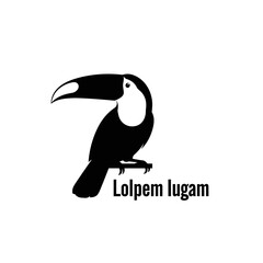 Naklejka premium Black silhouette of a toucan bird.