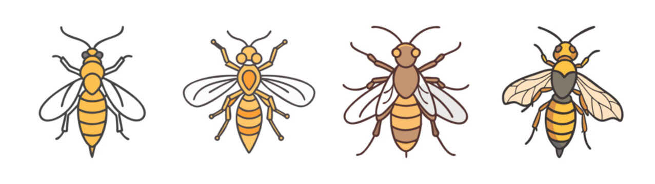 Four different types of bees flying with transparent wings and bodies in various yellow and black stripes