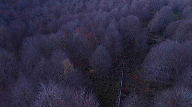 Aerial view from a drone of the "Wall of the Navarrese" in the autumn landscape of the Sierra de Entzia. Alava. Basque Country. Spain. Europe
