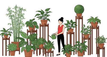Young woman watering various indoor potted plants on wooden stands in urban jungle home garden vector illustration isolated on white background for lifestyle. © MdHasmot