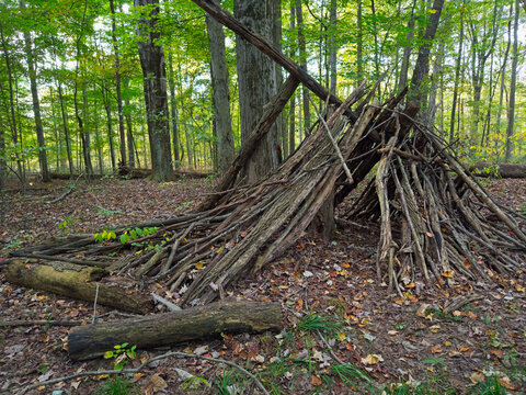A crude lean-to of branches and sticks stacked in a heap stands abandoned near a trail in the woods in an Ohio park, seen at dusk