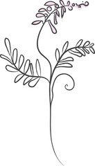 Obraz premium Wildflower Stem Botanical Color Sketch