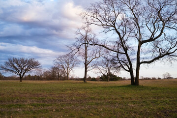 Fototapeta premium Eastern Flank Battlefield Park in Franklin Tennessee