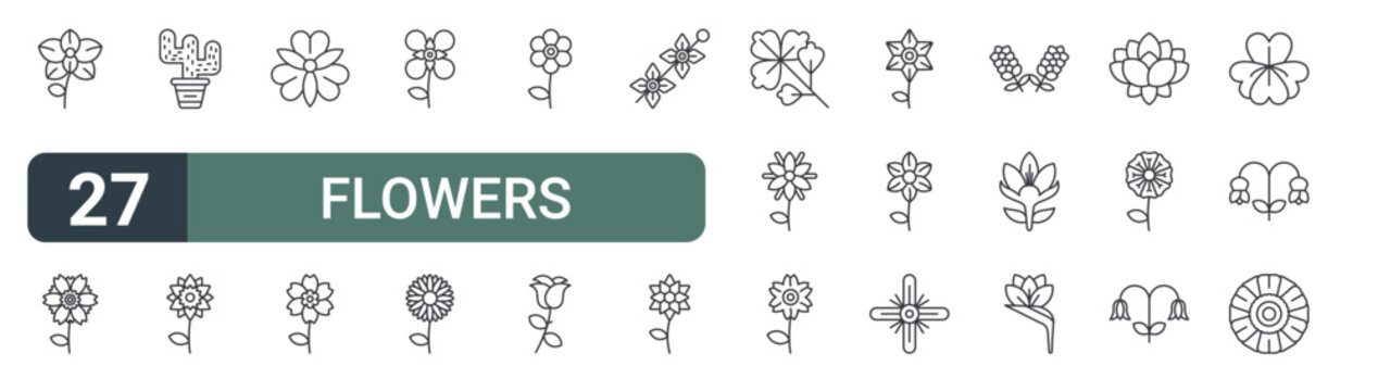 set of 27 thin line flowers icons for web, mobile and digital interfaces including orchid, peony, cactus, daffodil, alstroemeria, alpine forget me not, ixora, daisy and poppy. editable stroke vector