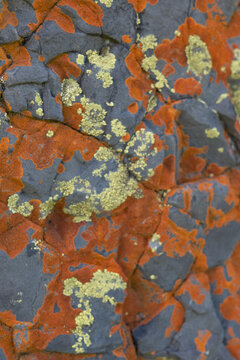 Colorful patterns on rock surface in nature