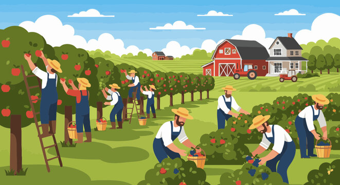 Farmers harvesting apples and berries in a rural orchard with a barn