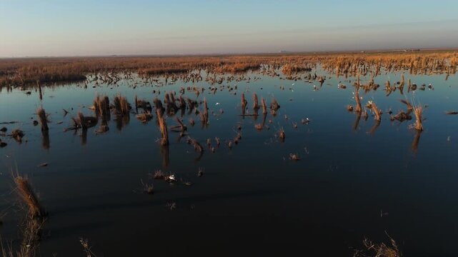 Al-Jubaysh Marshes, Dhi Qar, Iraq