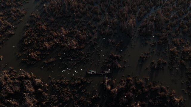 The Al-Jubaysh Marshes, located in Dhi Qar, Iraq, are part of the Mesopotamian marshlands, one of the world's largest wetland ecosystems. Known for their rich biodiversity, these marshes are home to u