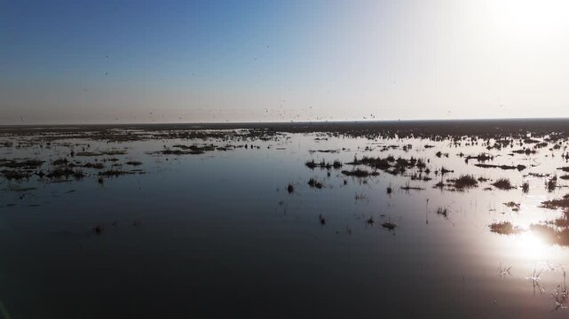 The Al-Jubaysh Marshes, located in Dhi Qar, Iraq, are part of the Mesopotamian marshlands, one of the world's largest wetland ecosystems. Known for their rich biodiversity, these marshes are home to u