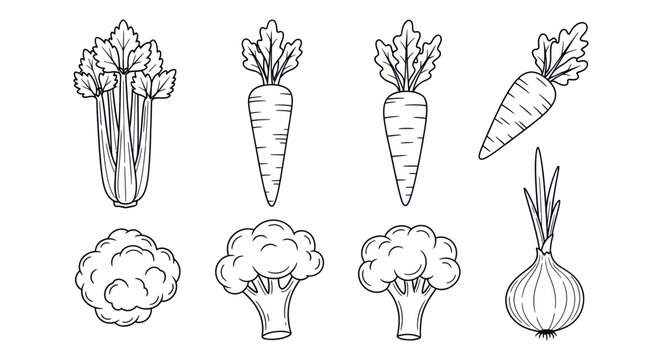 Hand Drawn Vegetable Set: Carrot, Celery, Broccoli, Onion, Cauliflower