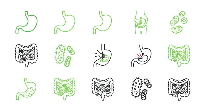 Stomach and Intestine Health Icons: Digestion, Bacteria, and Pain