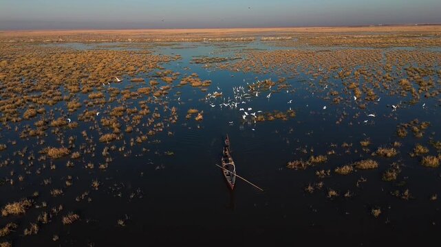 The Al-Jubaysh Marshes, located in Dhi Qar, Iraq, are part of the Mesopotamian marshlands, one of the world's largest wetland ecosystems. Known for their rich biodiversity, these marshes are home to u