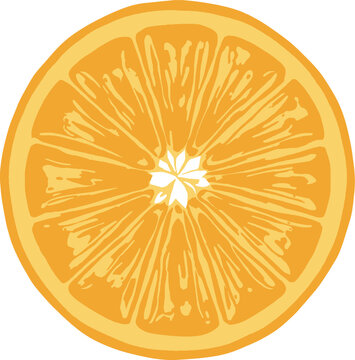 orance slice vector