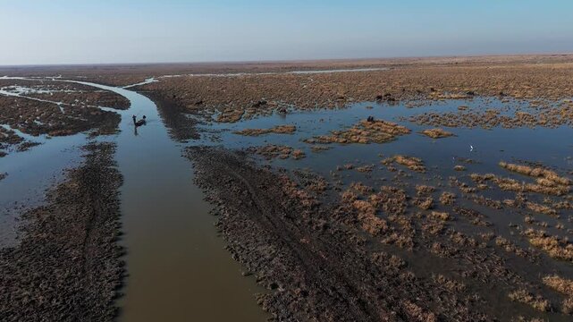 The Al-Jubaysh Marshes, located in Dhi Qar, Iraq, are part of the Mesopotamian marshlands, one of the world's largest wetland ecosystems. Known for their rich biodiversity, these marshes are home to u