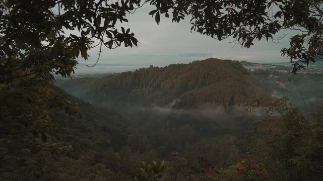 Cinematic misty forest mountain landscape during early morning with soft fog covering the valley. Filmed at Tebing Keraton, Bandung, West Java, Indonesia. Peaceful tropical scenery with lush greenery 