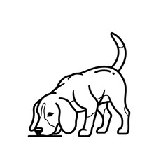 Obraz premium Black and white line art illustration of a beagle dog sniffing the ground.
