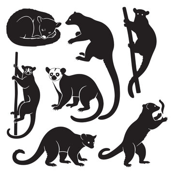 Black Kinkajou Silhouette Vector, High Quality Illustration on White Background