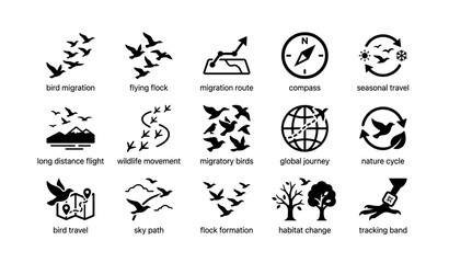Fototapeta premium Bird migration icons: flock movement, seasonal travel, compass, global journey