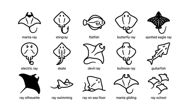 Collection of rays and skate icons: manta, stingray, spotted eagle, electric, and more