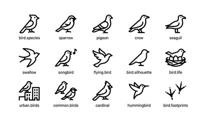 Fototapeta premium Icon set of various bird species: sparrow, pigeon, crow, seagull, swallow, songbird, cardinal