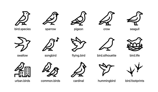 Icon set of various bird species: sparrow, pigeon, crow, seagull, swallow, songbird, cardinal