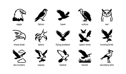 Fototapeta premium Silhouette icons of eagle, falcon, hawk, vulture, owl, and more raptor birds