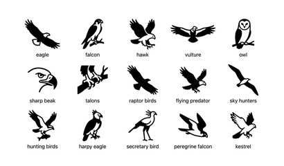 Fototapeta premium Silhouettes of birds of prey featuring eagles, falcons, hawks, and owls
