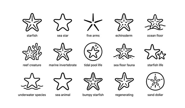 Starfish icons: marine life, echinoderms, ocean creatures, sea stars
