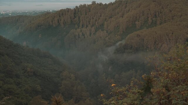 Cinematic misty forest mountain landscape during early morning with soft fog covering the valley. Filmed at Tebing Keraton, Bandung, West Java, Indonesia. Peaceful tropical scenery with lush greenery 