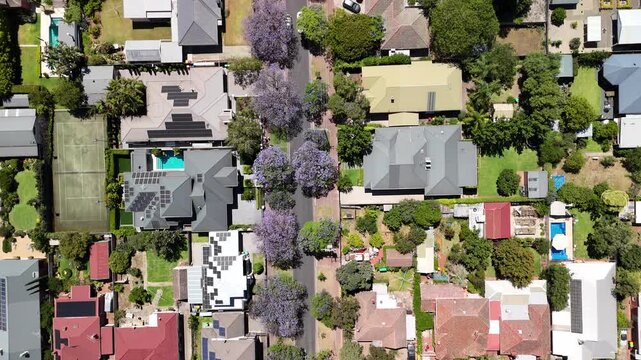 Glenside, Adelaide, South Australia: 4K aerial drone footage of residential suburbs with tree-lined streets, roundabouts, purple jacaranda flowers, houses and urban landscape