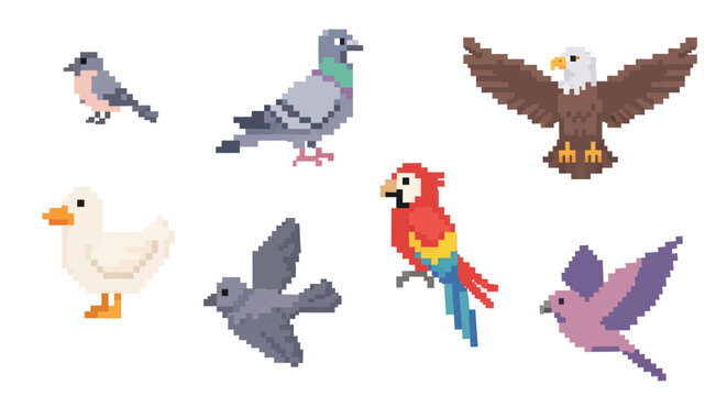 Pixel Art Birds Collection: Cute 8-bit Wildlife Animal Characters Set