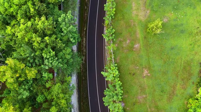 Breathtaking drone footage soaring over a canyon valley leading to the ocean. Towering rugged cliffs, vibrant green agricultural fields, and turquoise water. Captured in 16:9 horizontal format. Perfec
