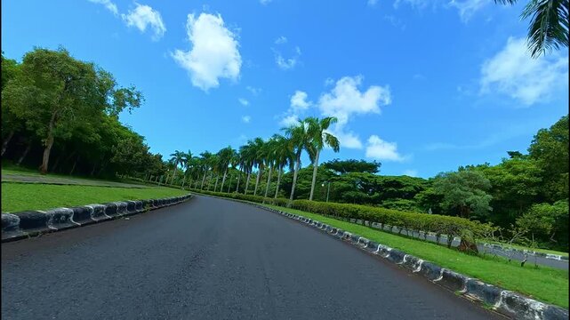 Immersive first person point of view motorcycle ride through scenic tropical jungle road in Bali. Handlebar camera perspective cruising along winding asphalt path with palm trees and lush vegetation