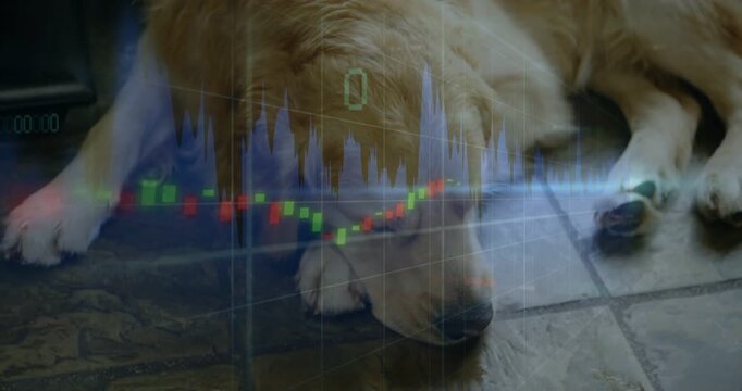Golden dog lying on tile by railing, overlay emerging, candles, blue vol over fur showing market