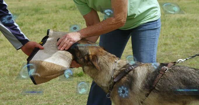 Senior handler holding bite sleeve on grass, dog biting, pulling, helper steadying for training