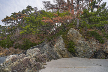 Fototapeta premium 碁石海岸