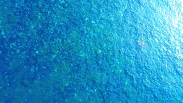 海底が見えるほど澄んだ海を俯瞰で空撮