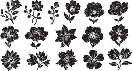 Obraz premium Black and white floral illustrations on white background set