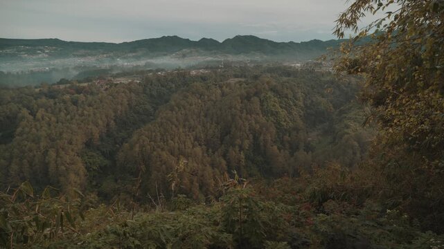 Cinematic misty forest mountain landscape during early morning with soft fog covering the valley. Filmed at Tebing Keraton, Bandung, West Java, Indonesia. Peaceful tropical scenery with lush greenery 