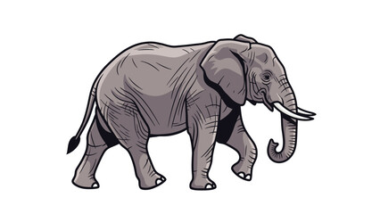 Fototapeta premium Illustration of a gray elephant walking to the right with a curled trunk on a white background.