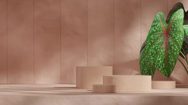 seamless shadow animation looping with pink caladium and textured wall, 3d video rendering blank mockup of brown terrazzo podium